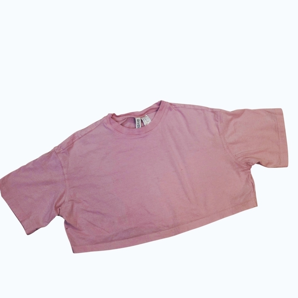 Divided Mauve Cropped Plain Tee